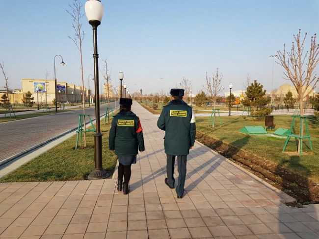 В городах Узбекистана появился новый патруль