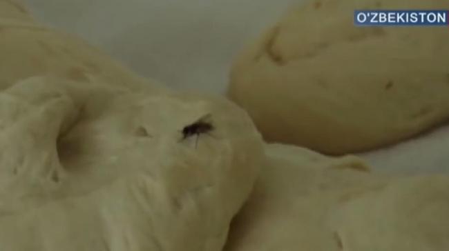 Тараканы и мухи в еде. Антисанитария в столичных общепитах (видео)