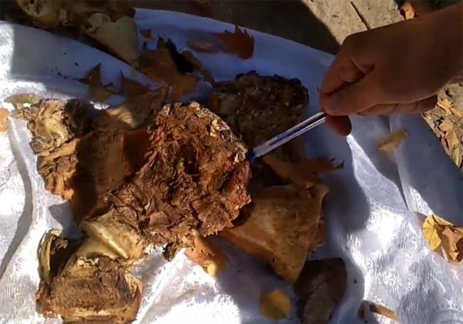 В одном из Ташкентских  детских садов выявили хищения в крупном размере, а также противозаконные действия заведующей