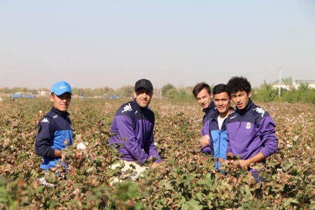 Узбекские футболисты приняли участие на сборе хлопка