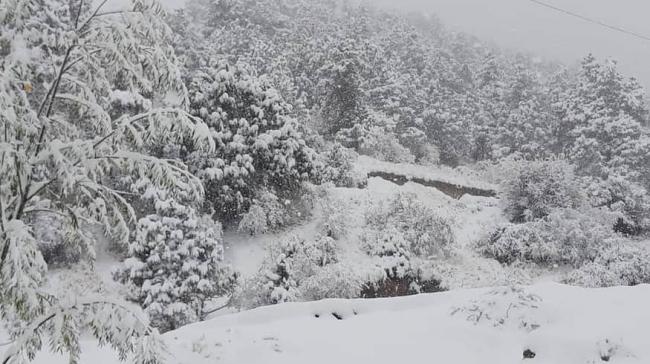 В Узбекистане выпал первый снег