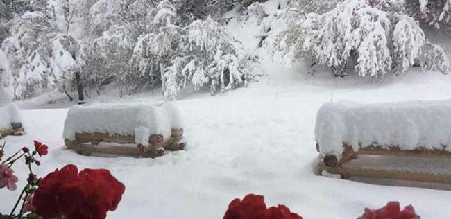 Более 20 сантиметров снега выпало в горах Ташкентской области
