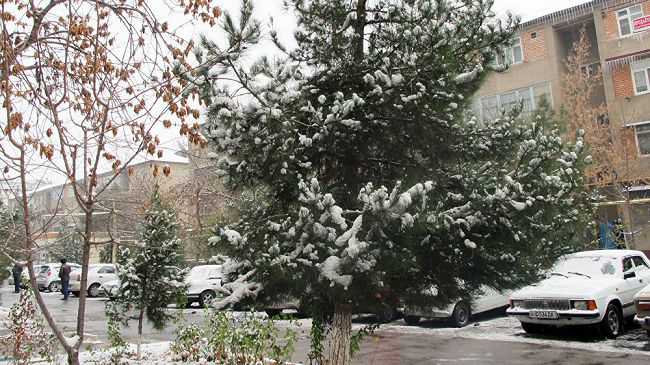 Видео: В Ташкенте выпал первый снег