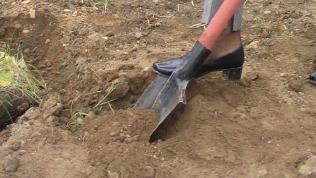 В Сурхандарьинской области мужчину за долги заставили копать себе яму и хотели похоронить заживо