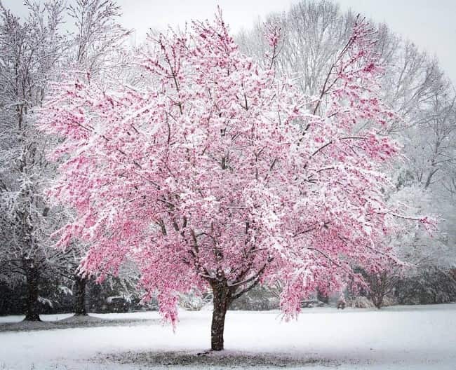 29-31 октября в горных районах Узбекистана ожидается снег