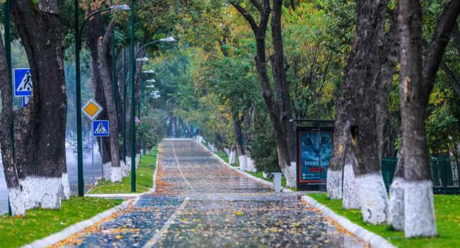 В Узбекистане ожидается резкое похолодание