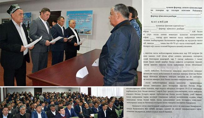 Опубликован текст присяги, которую принимали фермеры Андижана