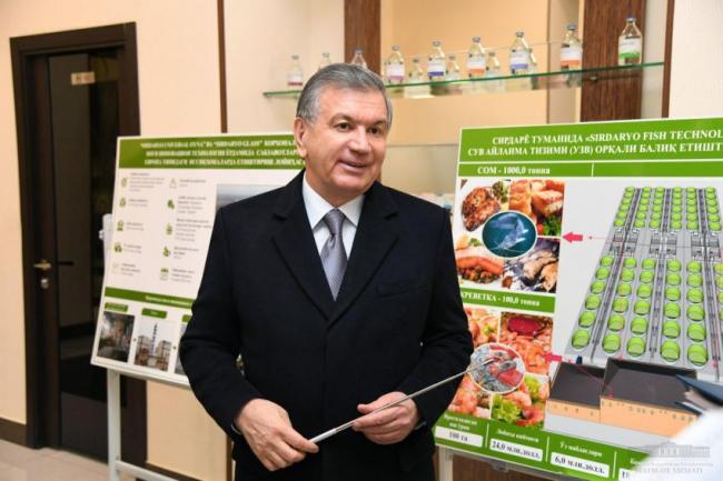 Президент Узбекистана прибыл в Сырдарьинскую область