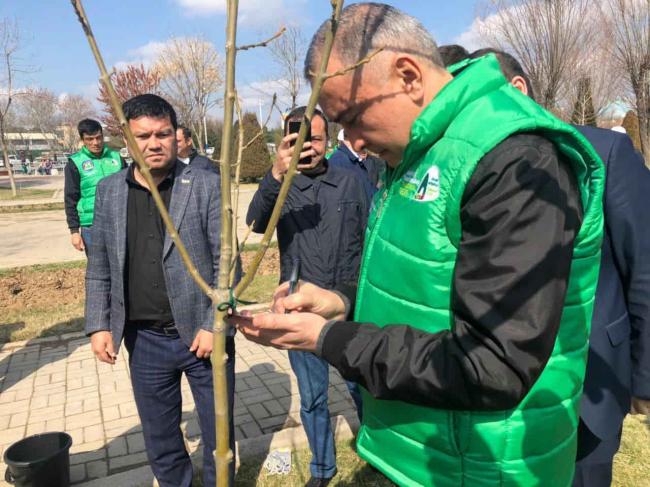 Видео: Хоким Ташкента и узбекские звезды посадили деревья