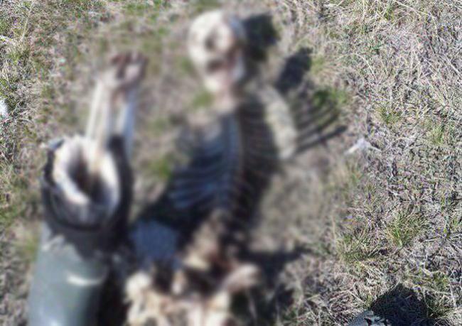 В России найден скелет гражданина Узбекистана, который замерз в степи