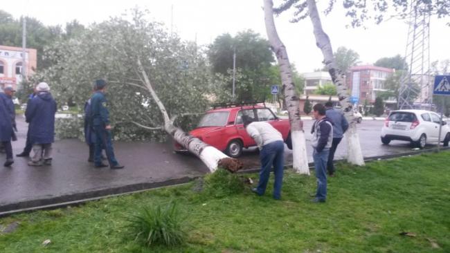 Фото: Последствия сильного ветра и дождя в Ташкенте