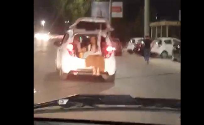 Видео: Пользователи раскритиковали мать, которая прокатилась с ребенком в багажнике автомобиля