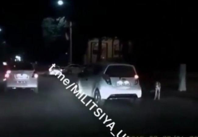 Видео: В Самарканде водители намеренно сбили собаку