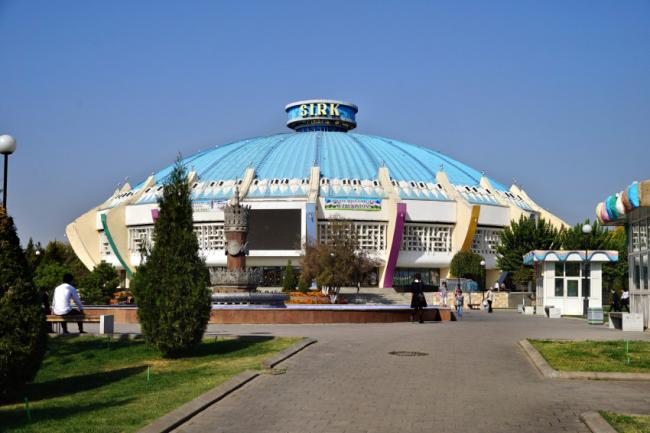 В Ташкенте гимнастка цирка упала с высоты во время выступления