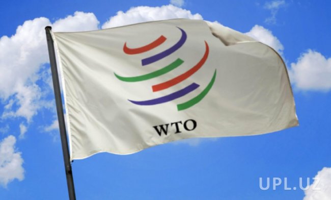 ЕС выделил деньги Узбекистану на вступление в ВТО