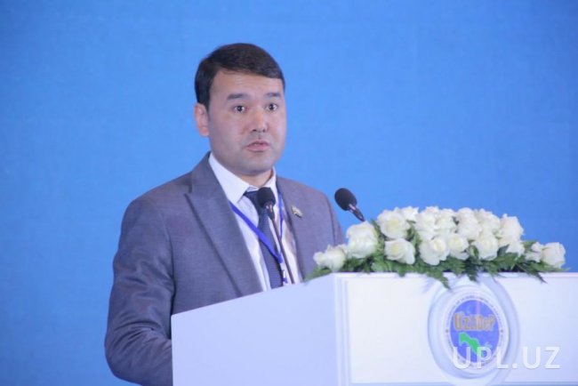 Депутат Расул Кушербаев заявил, что у некоторых чиновников «деревянное» мышление
