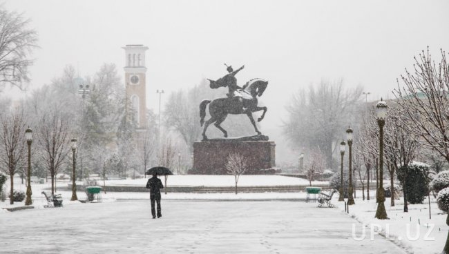 В Узгидромете назвали дату, когда выпадет первый снег в Ташкенте