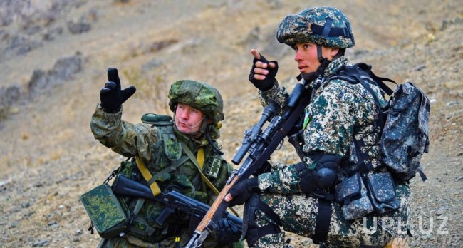 Узбекистан улучшает позицию в рейтинге безопасности от терроризма