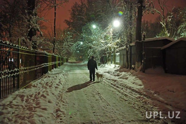 Завтра в Узбекистане ожидается снег