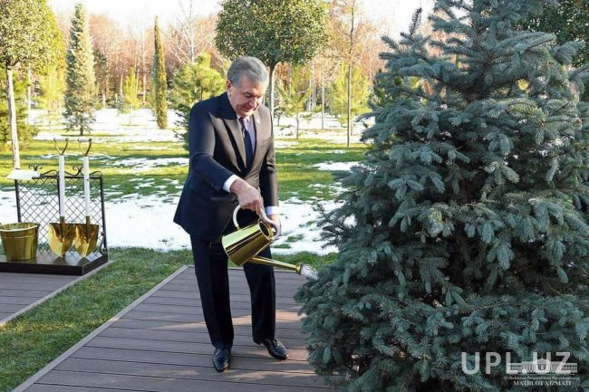 Президенты стран ЦА высадили саженцы деревьев в резиденции Куксарой