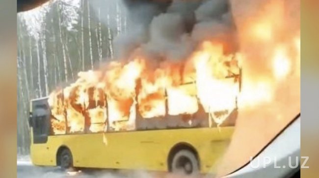 Видео: В Санкт-Петербурге узбекистанец спас 50 человек из горящего автобуса