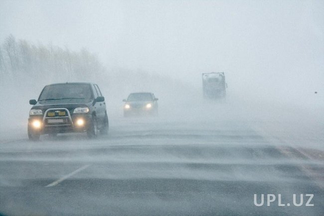 Из-за сильного тумана 80 человек застряли на трассе Алматы – Ташкент
