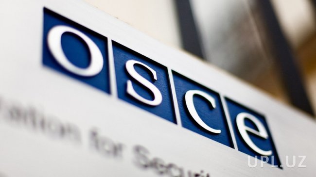 ОБСЕ не будет наблюдать за вторым туром выборов