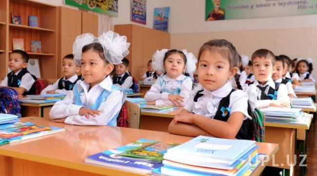 В Узбекистане ученики старших классов получат возможность выбрать направление обучения
