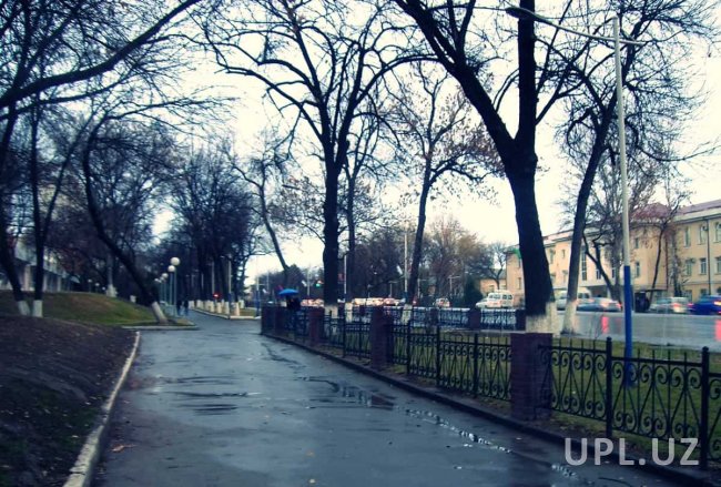 В Узбекистане ожидаются небольшие дожди