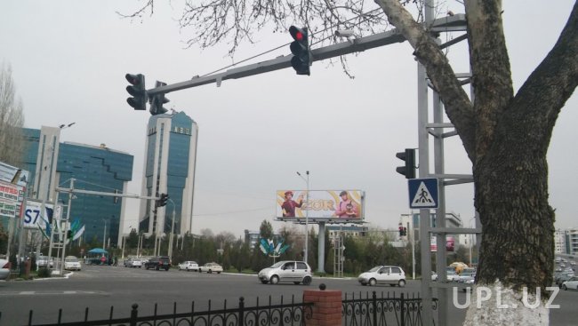 В Ташкенте дорожные камеры начали фиксировать разговор по телефону и непристёгнутый ремень