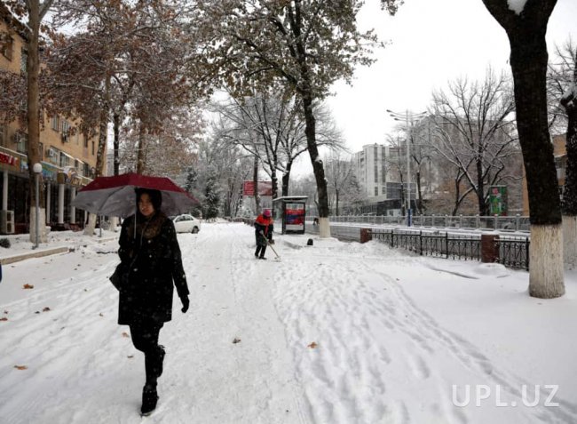 Снег в Ташкенте стал сенсацией. Официальная страница Instagram сделала пост об этом