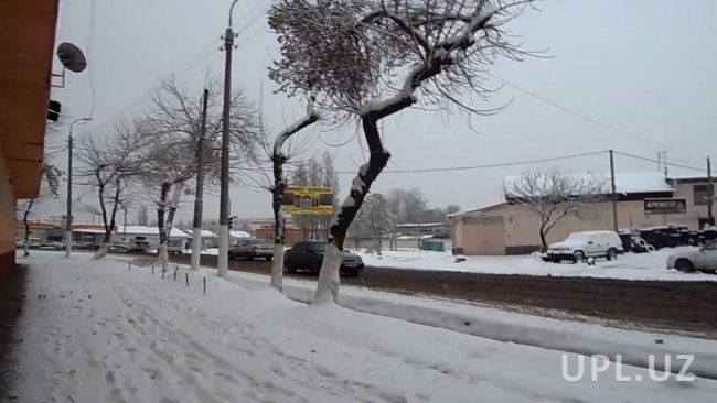 В Узбекистане холодная погода со снегом сохранится до конца недели