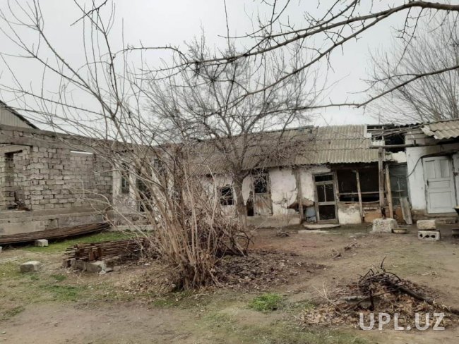 После критики Президента в Сырдарье помогут семьям, которые живут в разваливающихся домах