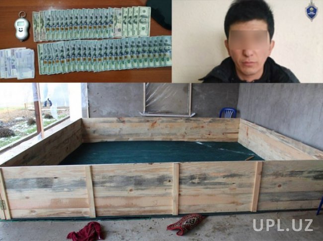 В Ташкентской области задержан мужчина, который планировал организовать собачьи бои