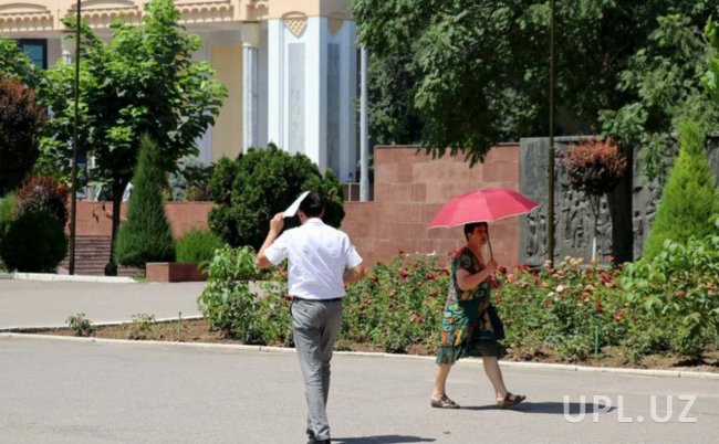 После кратковременного похолодания в Узбекистане температура воздуха поднимется до +20 градусов