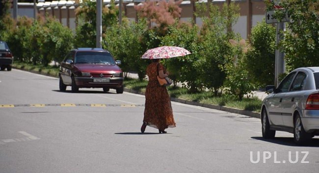В выходные по Узбекистану по-прежнему будет преобладать теплая погода