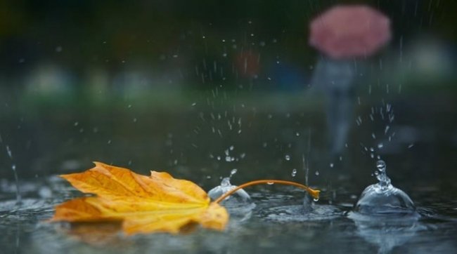 Завтра в Узбекистане ожидаются дожди