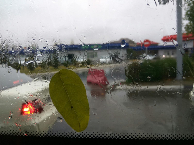 В Узбекистане ожидаются сильные дожди и ветер