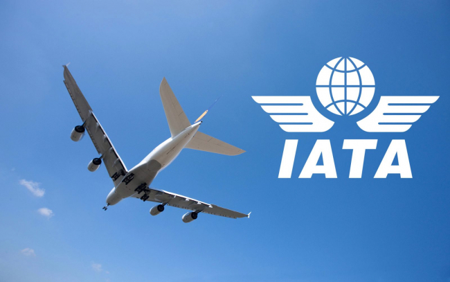 Глава IATA спрогнозировал увеличение стоимости авиабилетов после пандемии