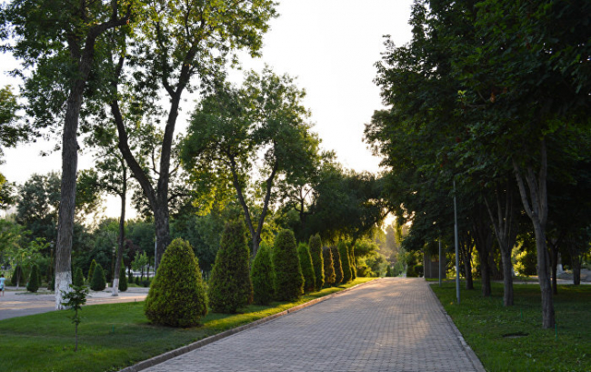 На следующей неделе температура воздуха в Ташкенте поднимется до +30 градусов тепла