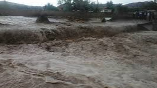 В Джизакской области брат и сестра погибли в результате селевого потока