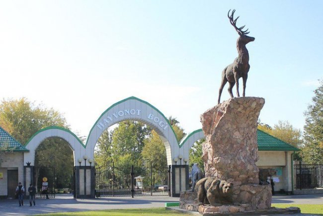 Ташкентский зоопарк возобновляет свою работу
