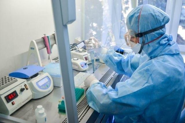«Узбекские ученые проводят исследование по разработке вакцины от COVID-19», —  Хабибулла Окилов
