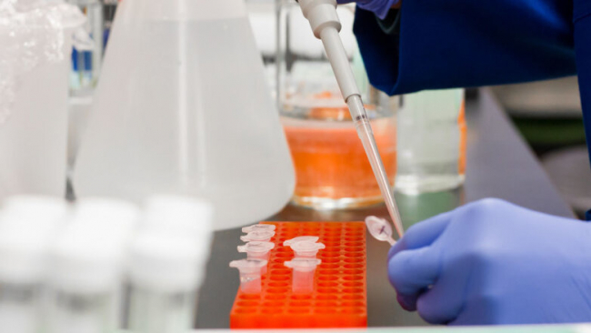 В Узбекистане коронавирус выявлен еще у 8 человек