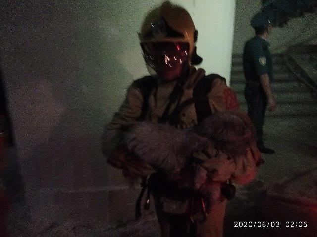 В одном из многоэтажных домов Ташкента из-за пожара эвакуировали 30 граждан