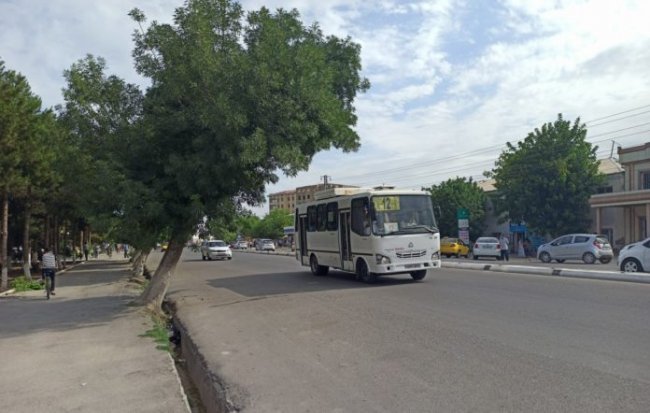В Карши возобновили деятельность общественного транспорта