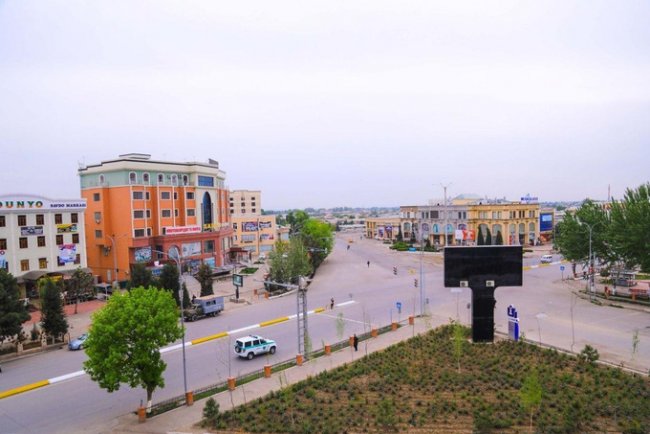 В зеленой зоне Наманганской области выявлен коронавирус