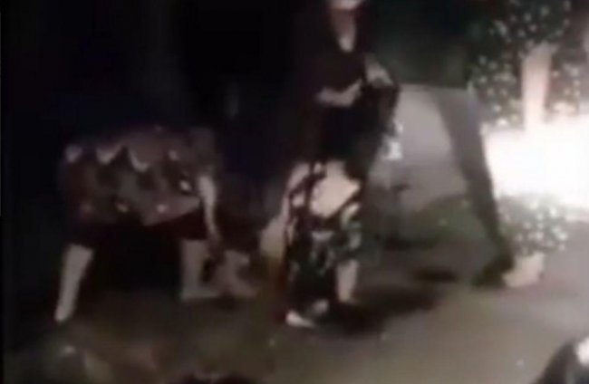 Видео: В Хорезмской области избили и раздели догола женщину