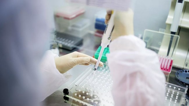 В Узбекистане продолжается резкое увеличение количества зараженных коронавирусом