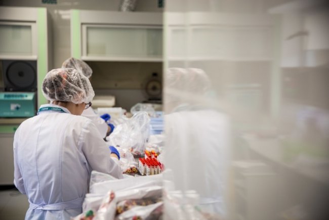 Минздрав отчитался о коронавирусе на 13 июня